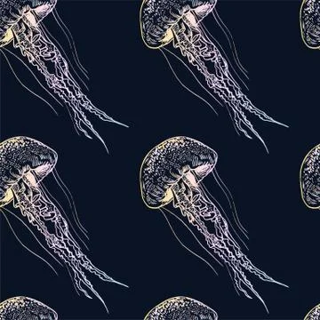 Vector illustration jellyfish. Painted by hand Stock Illustration