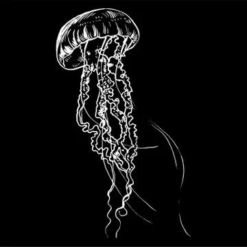 Vector illustration jellyfish. Painted by hand Illustrazione stock