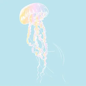 Vector illustration jellyfish. Painted by hand Stock Illustration