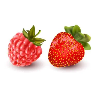 Vector illustration of a juicy raspberry and strawberry with stem isolated on Stock Illustration