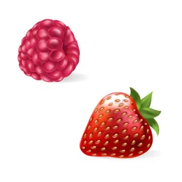 Vector illustration of a juicy raspberry and strawberry with stem isolated on Stock Illustration