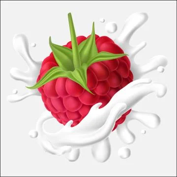 Vector illustration of a juicy raspberry with stem and a splash of milk, yogurt Stock Illustration
