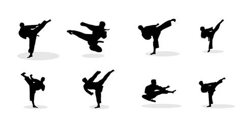 Vector illustration of karate martial arts silhouette Stock Illustration