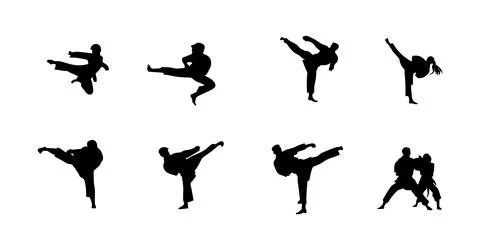 Vector illustration of karate martial arts silhouette Stock Illustration