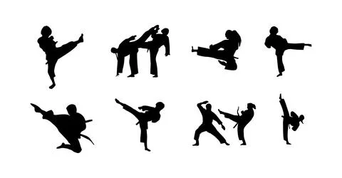 Vector illustration of karate martial arts silhouette Stock Illustration