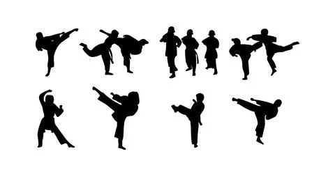 Vector illustration of karate martial arts silhouette Stock Illustration