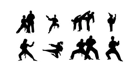 Vector illustration of karate martial arts silhouette Stock Illustration