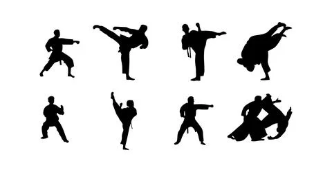 Vector illustration of karate martial arts silhouette Stock Illustration