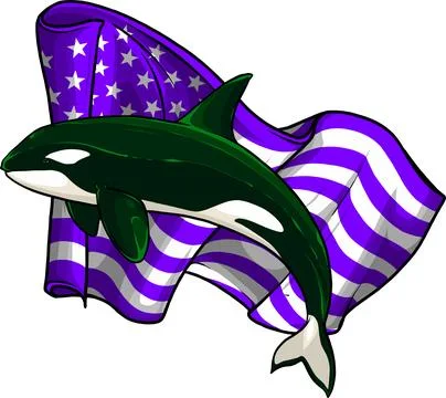 Vector illustration of killer whale, orca flat design on white background Illustrazione stock