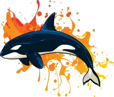 Vector illustration of Killer whale with stain Stock Illustration