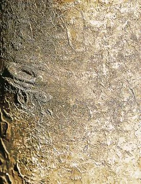 Vector illustration of Laburnum bark background. Natural bean surface texture Stock Illustration