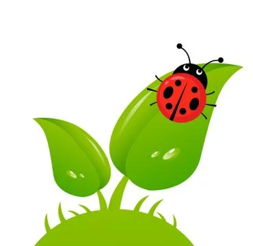 Vector illustration of a ladybug Stock Illustration