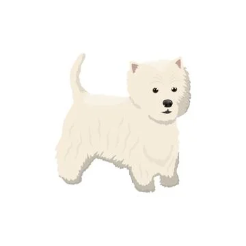 Vector illustration of Lapdog Stock Illustration