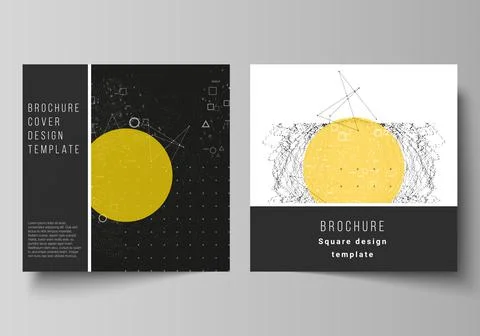 Vector illustration layout of two square format covers design templates for Stock Illustration
