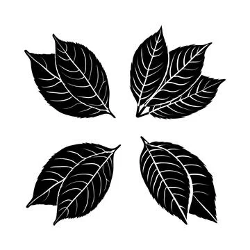 Vector illustration of leaf silhouette Stockillustratie