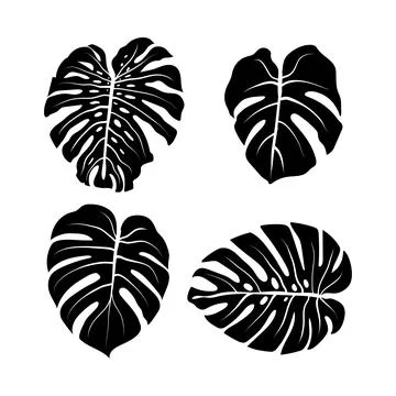 Vector illustration of leaf silhouette Stock Illustration
