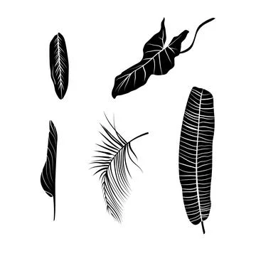 Vector illustration of leaf silhouette Stockillustratie