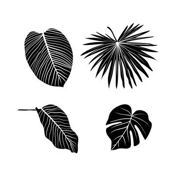 Vector illustration of leaf silhouette Stockillustratie