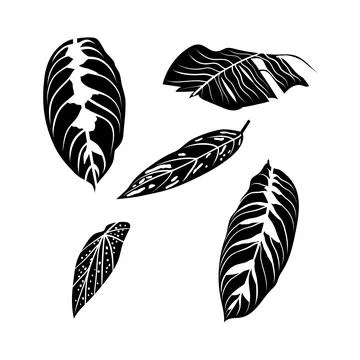 Vector illustration of leaf silhouette Stockillustratie