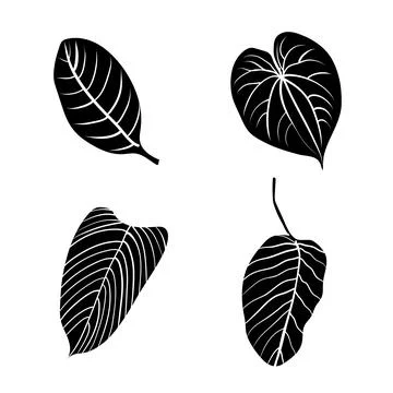 Vector illustration of leaf silhouette Stockillustratie