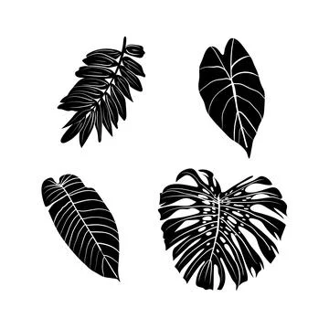 Vector illustration of leaf silhouette Stockillustratie