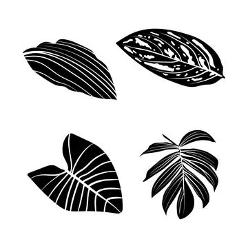 Vector illustration of leaf silhouette Stockillustratie