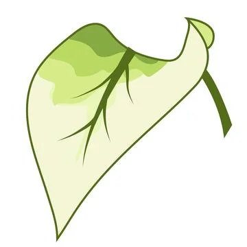 A vector illustration of a leaf with soft green hues and stylish gradient t.. イラスト素材