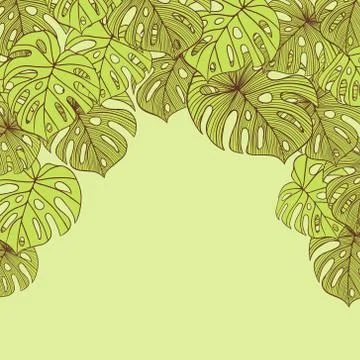 Vector illustration leaves of palm tree. Seamless pattern イラスト素材