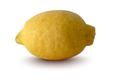 Vector illustration of lemon Stock Illustration