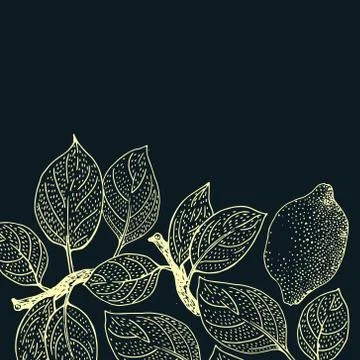 Vector illustration of Lemon Leaves Stock Illustration