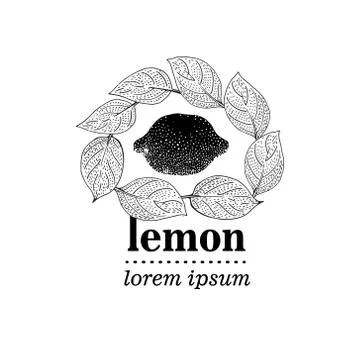 Vector illustration of Lemon Leaves Stock Illustration