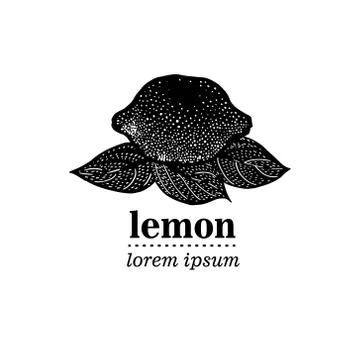 Vector illustration of Lemon Leaves Illustrazione stock