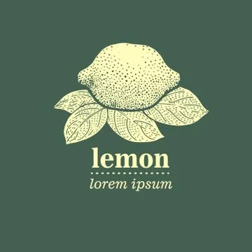 Vector illustration of Lemon Leaves Stock Illustration