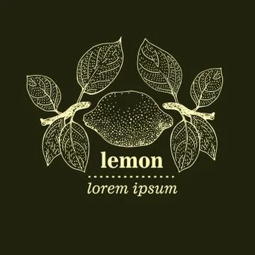 Vector illustration of Lemon Leaves Stockillustratie