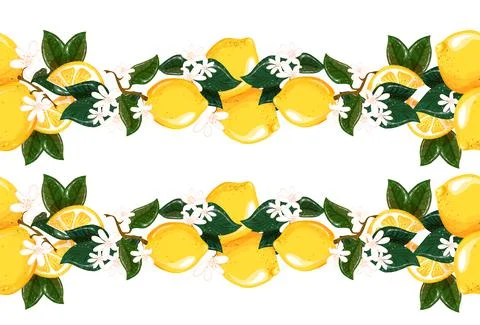 Vector illustration with lemons. Border seamless pattern. Image of a lemon Illustrazione stock