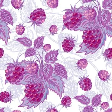 Vector illustration. Lilac seamless pattern of raspberries and leaves 스톡 일러스트