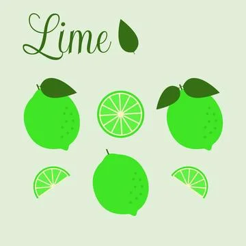 Vector illustration. Lime collection in a flat style Stock Illustration
