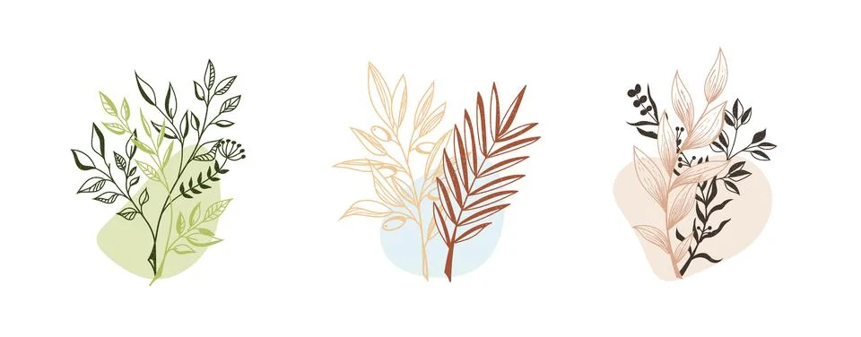 Vector illustration, linear twigs with colored delicate abstract elements, is Stock Illustration