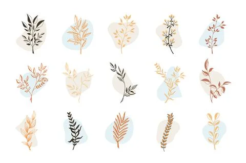 Vector illustration, linear twigs, outlines of petals with colored delicate a Stock Illustration