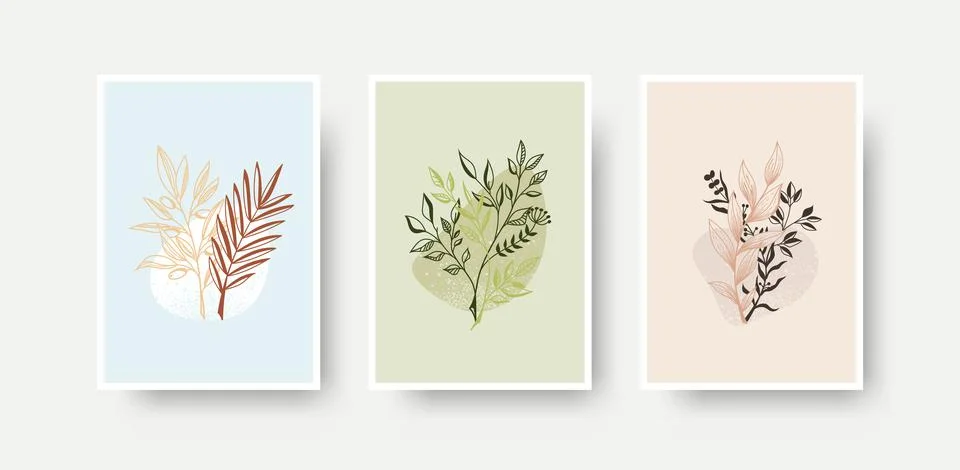 Vector illustration, linear twigs, outlines of petals with colored delicate a Stock Illustration