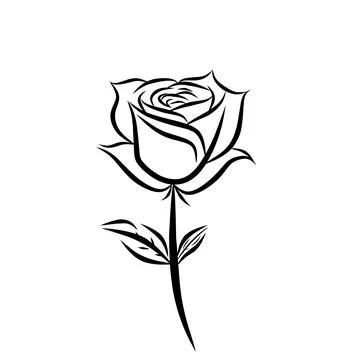 Vector illustration of lines forming a flower on a white background Stock Illustration