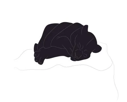 Vector illustration of a lioness sleeping, drawing silhouette, vector Illustrazione stock
