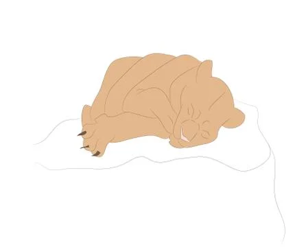 Vector illustration of a lioness sleeping, drawing color Stock-Illustration