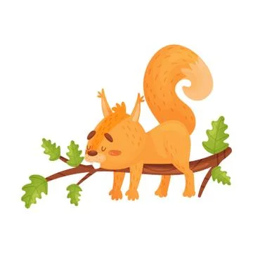 Vector Illustration Of A Little Tired Squirrel Lies On An Oak Branch Isolated On Stock Illustration