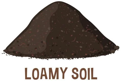 Vector Illustration of Loamy Soil Stock Illustration