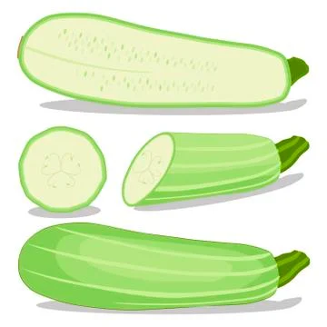 Vector illustration logo for whole ripe vegetable squash zucchini Stock Illustration