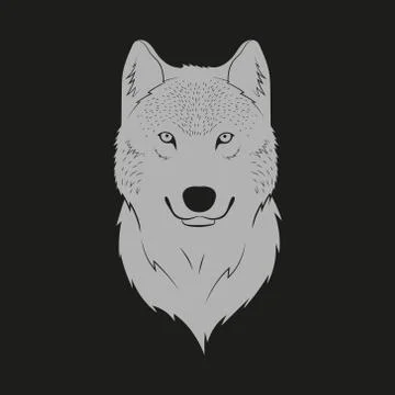 Vector illustration of looking wolf head. Isolated. Stock-Illustration