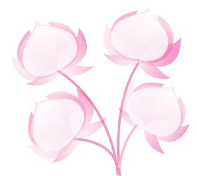 Vector illustration of  Lotus Stock Illustration
