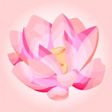 Vector illustration of a Lotus. Stock Illustration