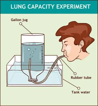 Vector illustration of a Lung Capacity Experiment Illustration